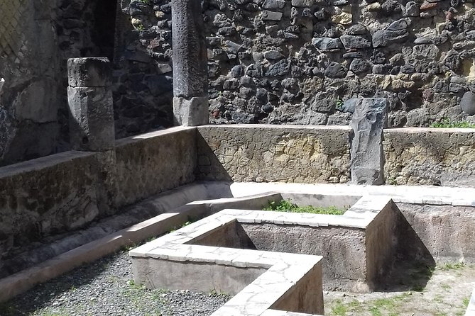 Herculaneum and the Amalfi Coast(Sorrento-Positano) - Tour Overview
