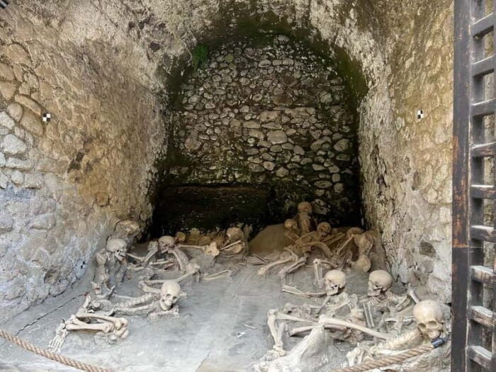 HERCULANEUM AND VESUVIUS: PRESTIGE TOUR FROM NAPLES - Who Would Love This Tour?