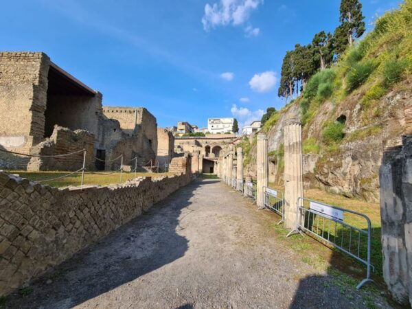Herculaneum Archaeological Park Smart Audio Tour - Common Questions