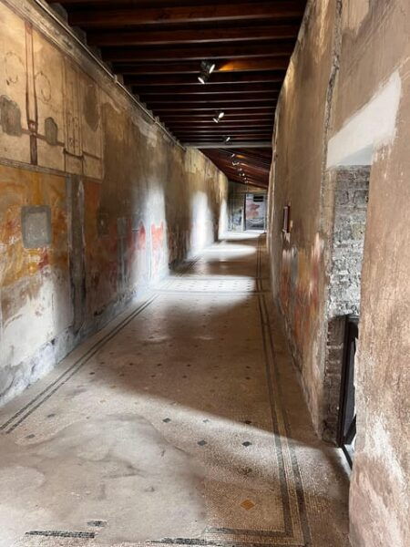 Herculaneum: Come and Explore the Archaeological Park - Exploring the Well-Preserved Ruins