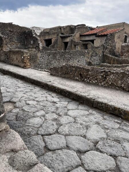 Herculaneum: Come and Explore the Archaeological Park - Discovering Shops, Streets, and Monuments