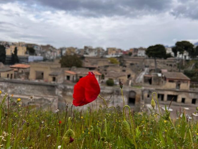 Herculaneum: Discover the Archeological Site With Me! - What to Bring