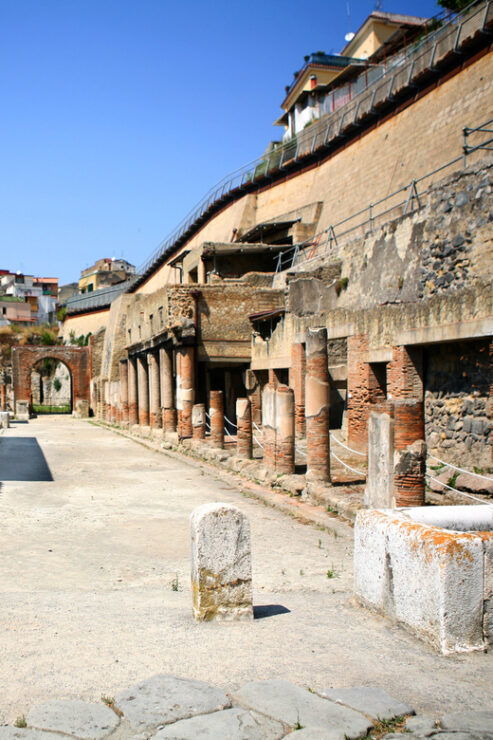 Herculaneum Entry Ticket and Pemcards W/ Optional Audioguide - Herculaneums Remarkable Preservation
