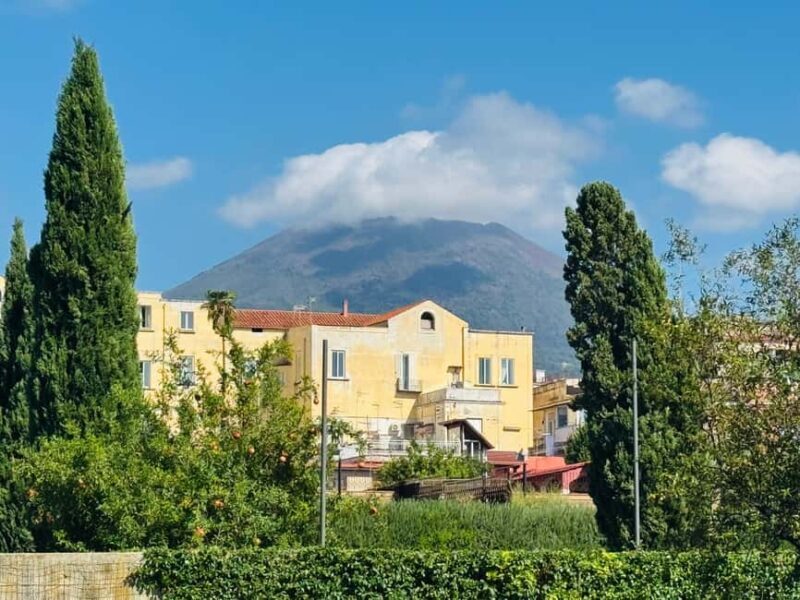 Herculaneum: experience with an archaeologist in a small group of up to 10 people - Introduction