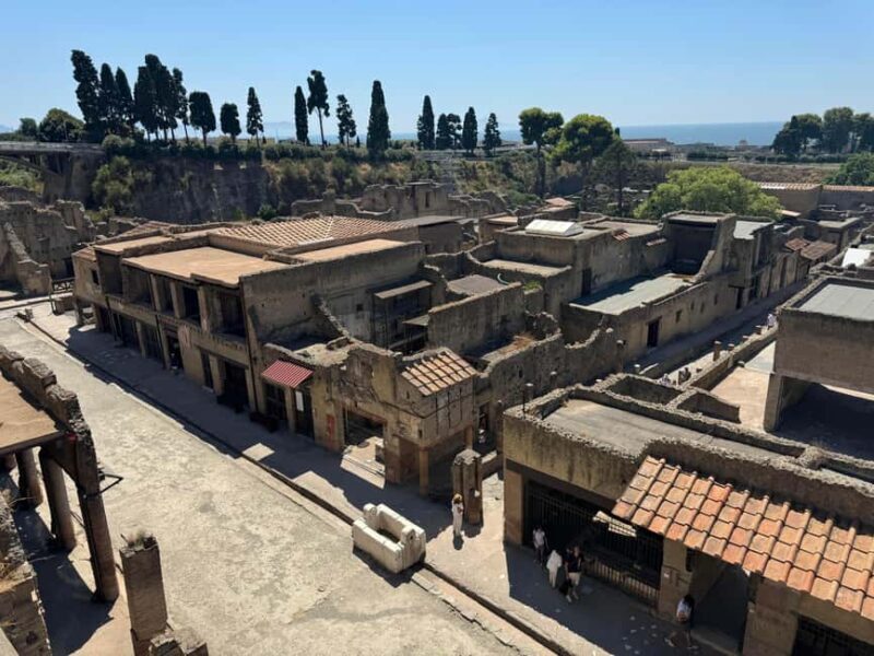 Herculaneum: experience with an archaeologist in a small group of up to 10 people - The Sum Up