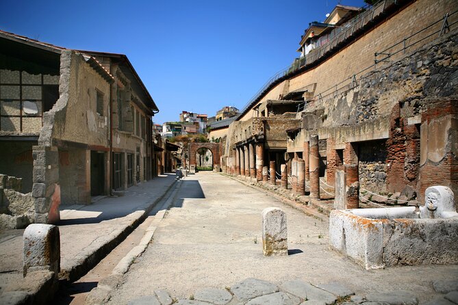 Herculaneum for Families Private Walking Tour - Price and Terms