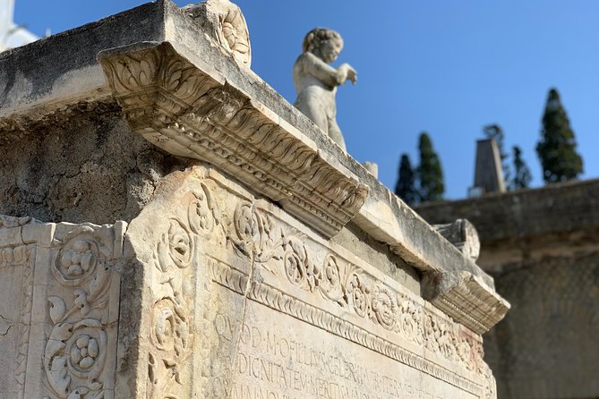 Herculaneum Guided Tour With Your Archaeologist - Cancellation Policy