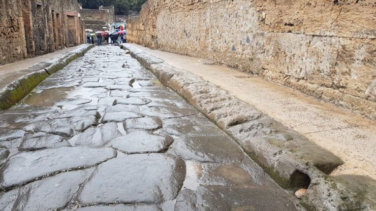 Herculaneum: Guided Walking Tour With Priority Admission - Experience Highlights