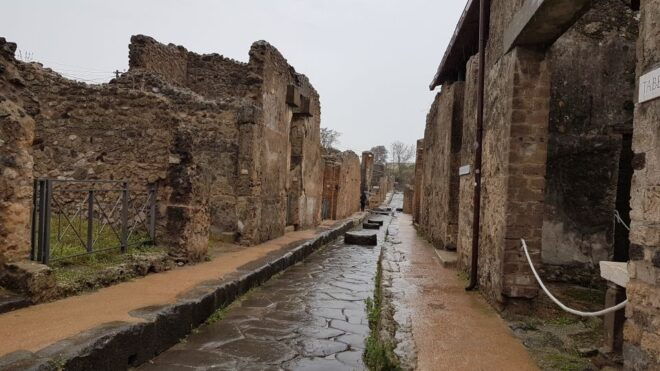 Herculaneum: Guided Walking Tour With Priority Admission - Important Information