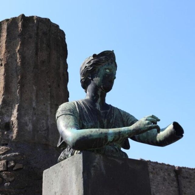 Herculaneum, Pompeii and Paestum Private Day Tour From Rome - Additional Information