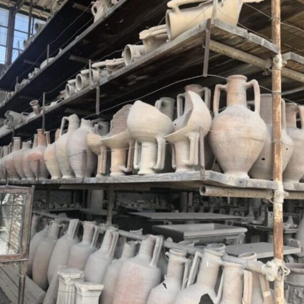 Herculaneum, Pompeii and Paestum Private Day Tour From Rome - Frequently Asked Questions