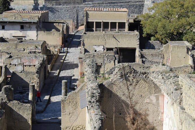 Herculaneum Private Guided Tour Led by a Local Top-Rated Guide - All Inclusive - Reviews and Ratings