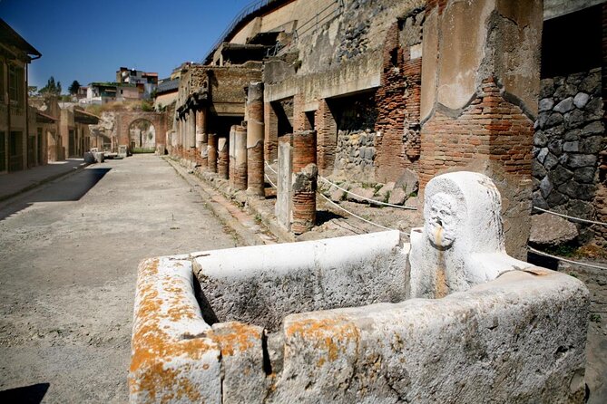 Herculaneum Private Tour at Your Pace! - Inclusions and Benefits