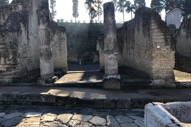 Herculaneum - Private Tour - Common Questions