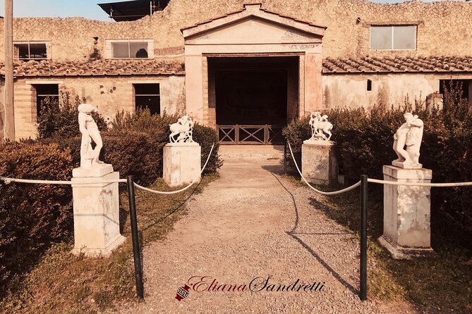 Herculaneum Private Tour With an Archaeologist - Inclusions in the Private Tour