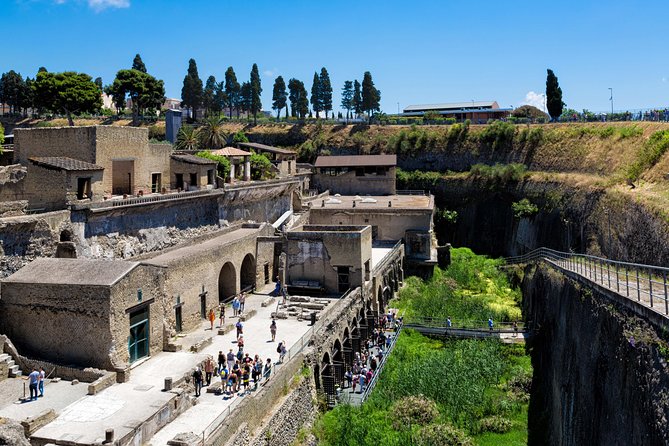 Herculaneum Private Tour With an Archaeologist - Tour Overview and Details