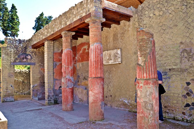 Herculaneum Private Tour With an Archaeologist - Viator Help Center