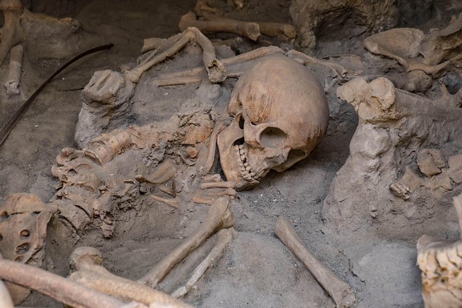 Herculaneum Private Walking Tour - The Sum Up