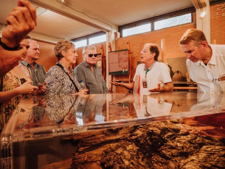 Herculaneum: Private Walking Tour With Archeologist Guide - Tour Details