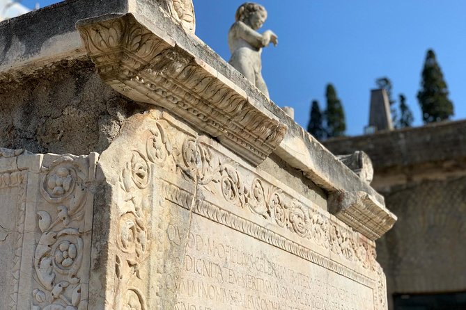 Herculaneum Ruins Archeological Exploration - Tour Highlights