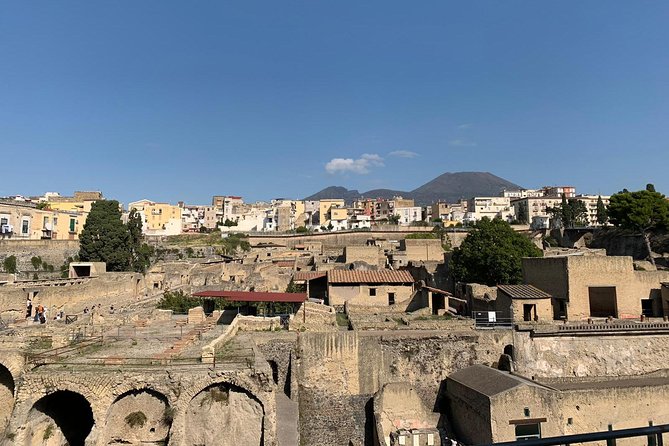 Herculaneum Ruins Archeological Exploration - Reviews