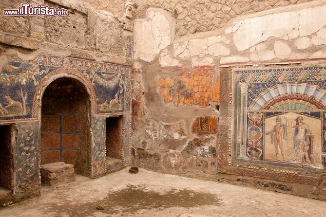 Herculaneum Ruins Half Day Tour - What To Expect During the Tour