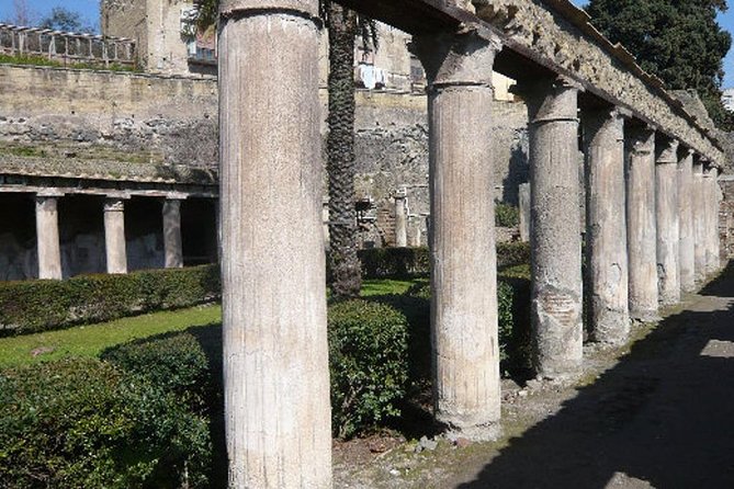 Herculaneum Ruins Half Day Tour - Booking Process