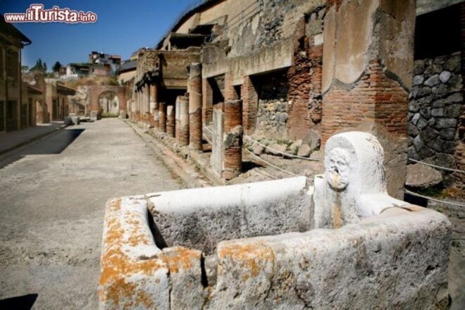 Herculaneum Ruins Private Half-Day Tour - Inclusions