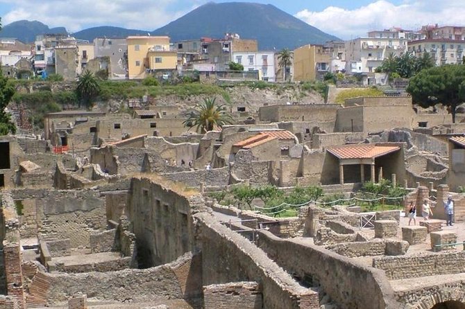 Herculaneum Ruins Private Half-Day Tour - Common Questions