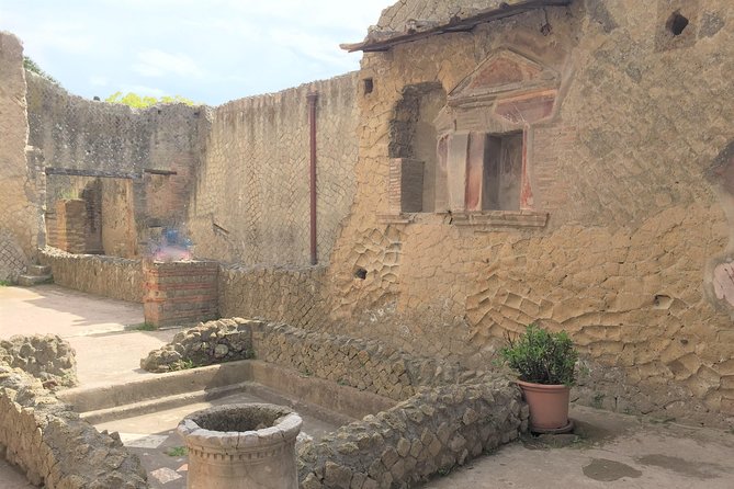 Herculaneum Ruins Skip the Line Guided Tour & Vesuvius With Luxury Minivan - The Sum Up