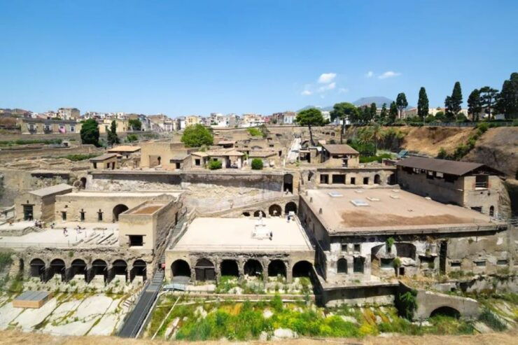 Herculaneum Small-Group Tour With a Local Guide - Activity Details