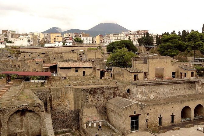 Herculaneum Tour - Tour Overview