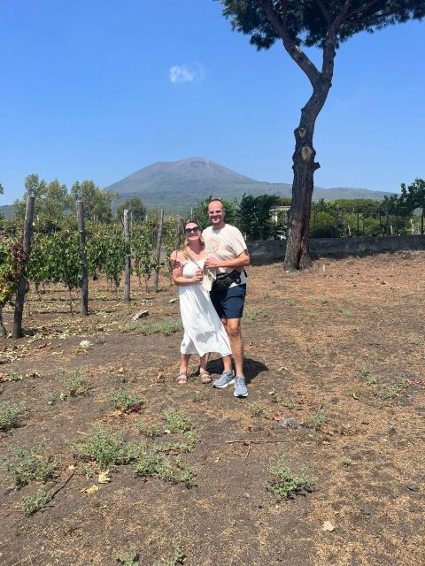 Herculaneum-Vesuvius: a Plunge Into the Past - Tour Details