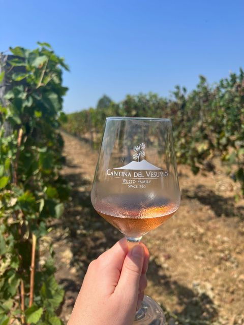 Herculaneum-Vesuvius: a Plunge Into the Past - Full Description