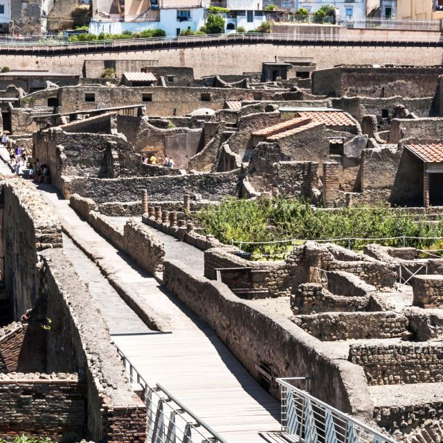 Herculaneum-Vesuvius: a Plunge Into the Past - Additional Information