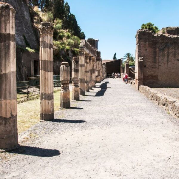 Herculaneum-Vesuvius: a Plunge Into the Past - The Sum Up