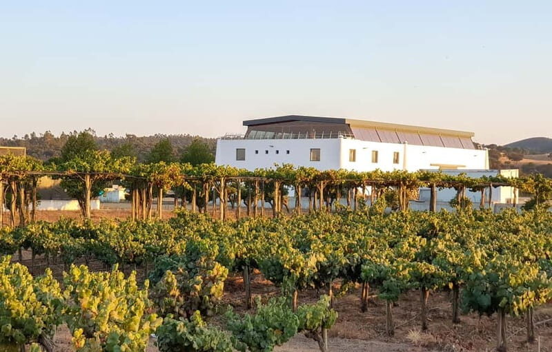 Herdade Canal Caveira - Visit Winery & Picnic - Discovering Herdade Canal Caveira