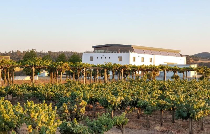 Herdade Canal Caveira - Winery Visit 4 Wines & Tapas - The Tasting Experience