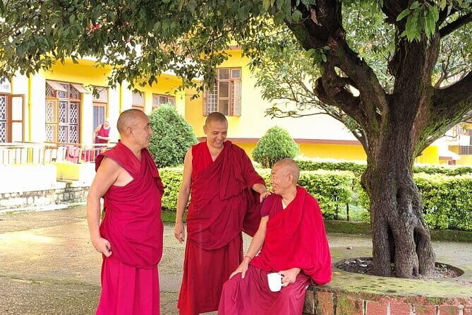 Heritage Amritsar & Spritual Dharamshala 4 Days Guided Tour - What Sets This Tour Apart?