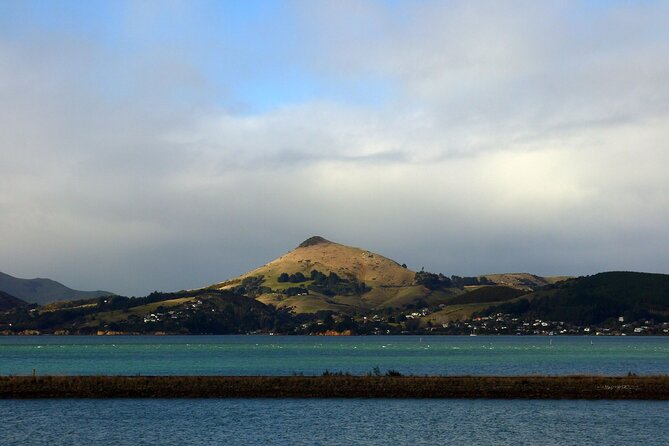 Heritage City and Larnach Castle Van Tour With Historian Guide - Heritage City Exploration