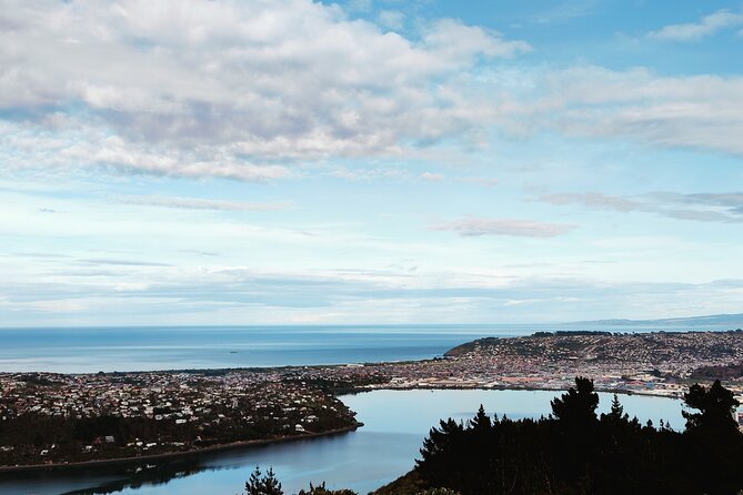 Heritage City and Larnach Castle Van Tour With Historian Guide - Booking and Pricing Information