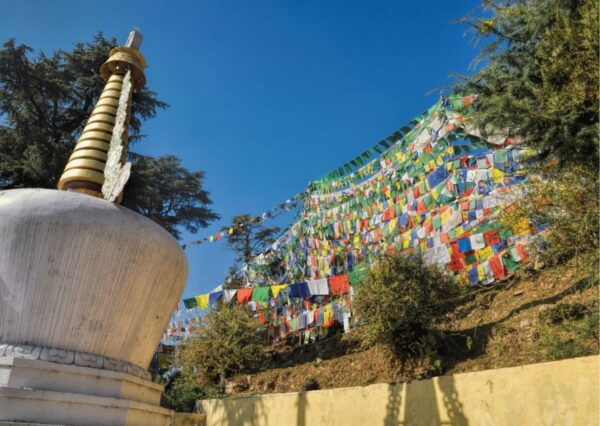 Heritage & Cultural Trails of McLeodGanj Guided Walking Tour - Important Information