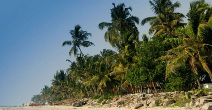 Heritage & Cultural Walk of Alleppey - Guided Walking Tour - Tour Details