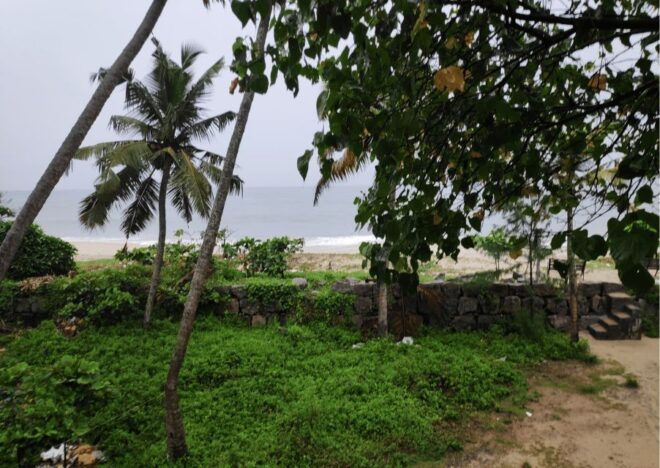 Heritage & Cultural Walk of Alleppey - Guided Walking Tour - Additional Information