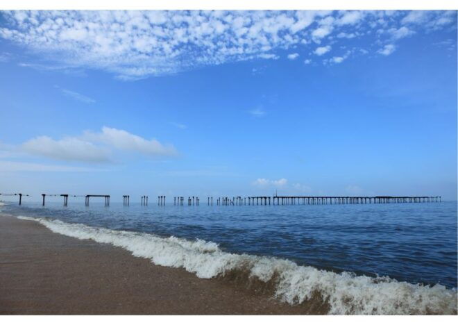 Heritage & Cultural Walk of Alleppey - Guided Walking Tour - Customer Review