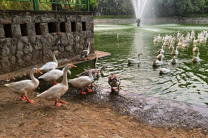 Heritage Delhi Private Walking & Shopping Tour - Practical Details and What You Should Expect