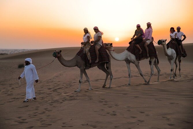 Heritage Desert Safari Private and Sharing - Group Size and Customization