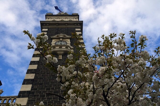 Heritage Dunedin City Walking Guided Tour - Background