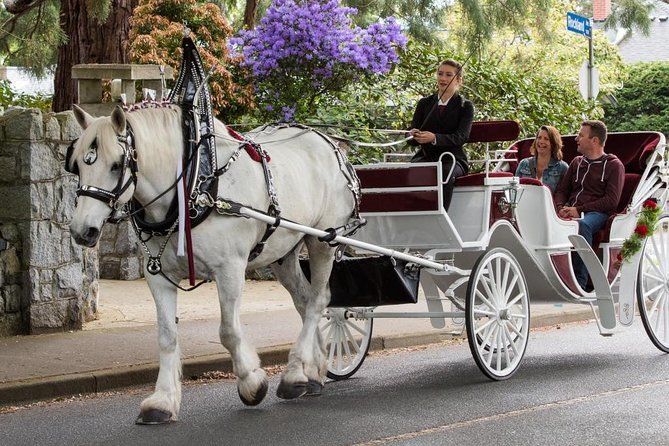 Heritage Horse-Drawn Carriage Tour of Victoria - Meeting and Pickup Information