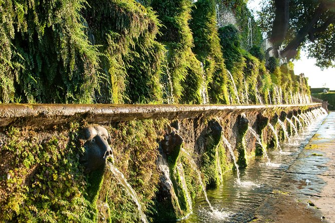 Heritage Site: Villa Deste and Hadrians Villa in Tivoli Tour From Rome - Positive Reviews and Knowledgeable Guide